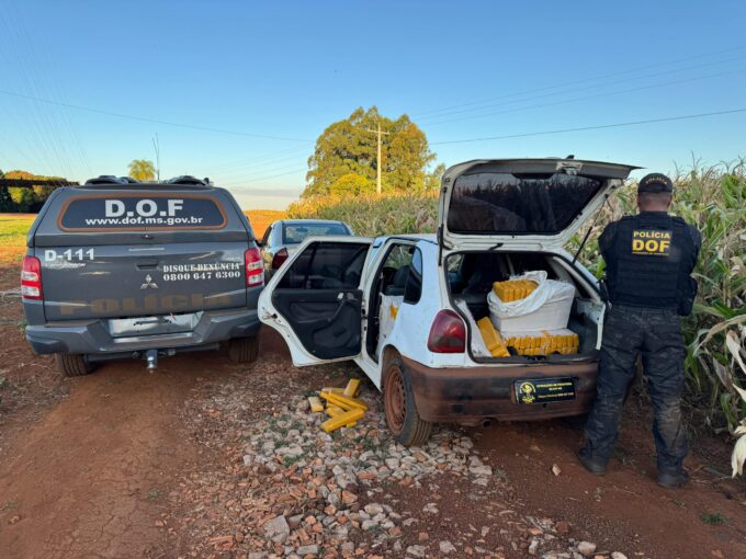 Foragido é recapturado pelo DOF com mais de 300 quilos de drogas em Dois Irmãos do Buriti