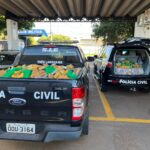 Polícia Civil incinera uma tonelada de drogas em Três Lagoas