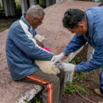 Prefeitura de Corumbá inicia campanha de vacinação antirrábica
