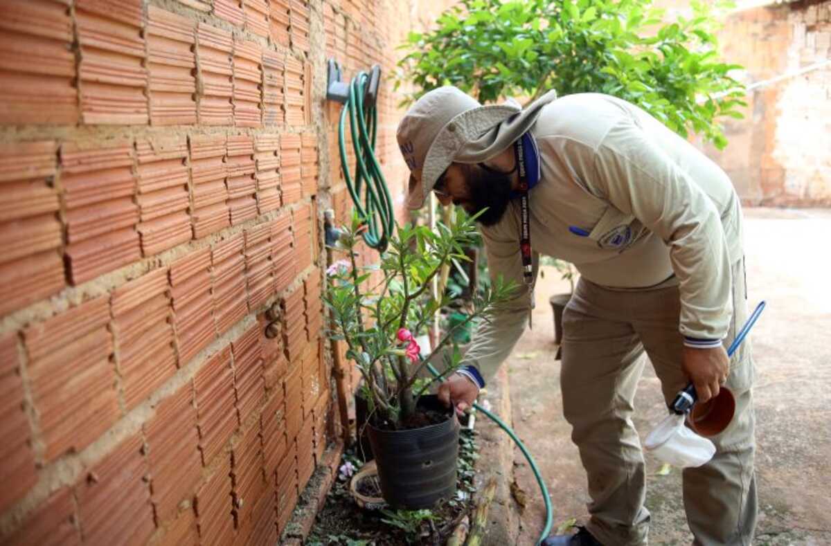 Saúde de MS reúne 8 mil agentes para discutir integração no SUS