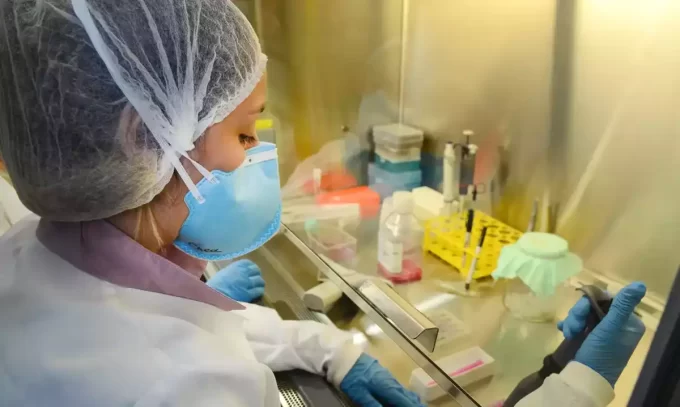 pesquisa de vacina contra zika avança em testes com camundongos