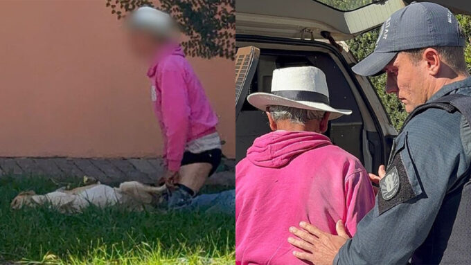 Idoso é flagrado praticando zoofilia com cadela em Nova Andradina