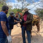 Vacinação antirrábica é realizada na zona rural de Jardim