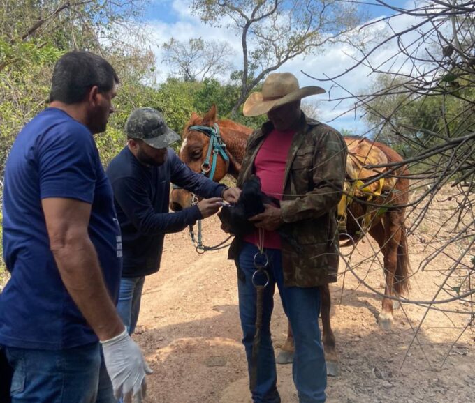 Vacinação antirrábica é realizada na zona rural de Jardim