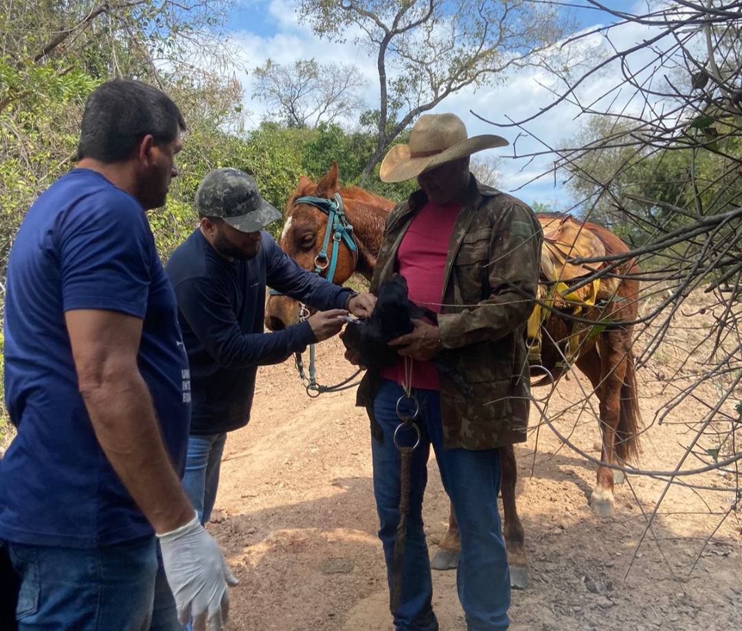 Vacinação antirrábica é realizada na zona rural de Jardim