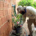 Aquidauana registra morte por dengue em 2025, em meio a mais de 13 mil casos em MS