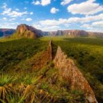 BNDES lança nova fase do Floresta Viva com R$ 100 milhões