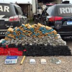Em ação conjunta, Polícia Civil e Guarda Municipal apreendem quase meia tonelada de drogas em Campo Grande