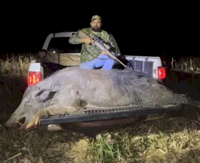 Javali de quase 300 kg é abatido em Rio Brilhante