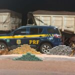 Mais de 130 kg de drogas escondidas em caminhãi são apreendidos em Terenos