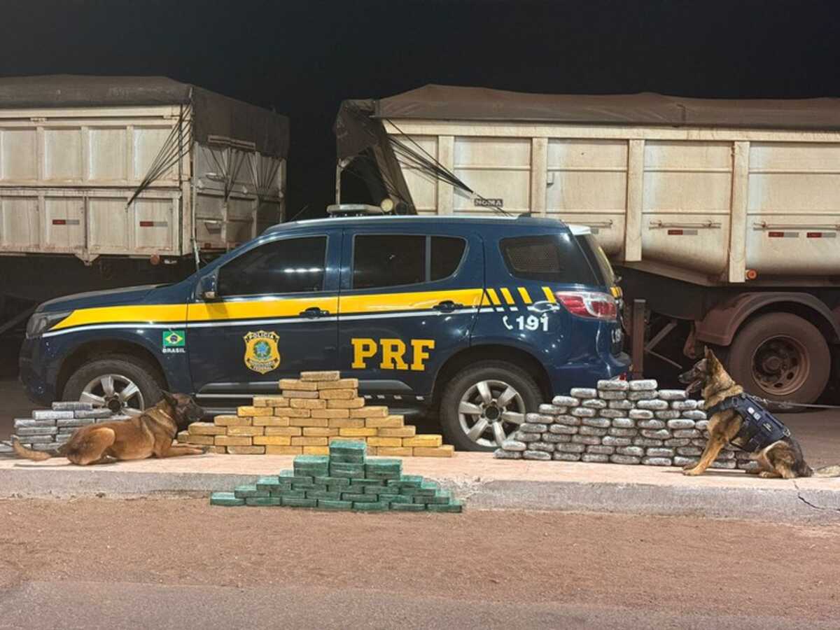 Mais de 130 kg de drogas escondidas em caminhãi são apreendidos em Terenos