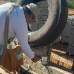 Municípios de MS relatam impacto positivo das ovitrampas no controle de arboviroses