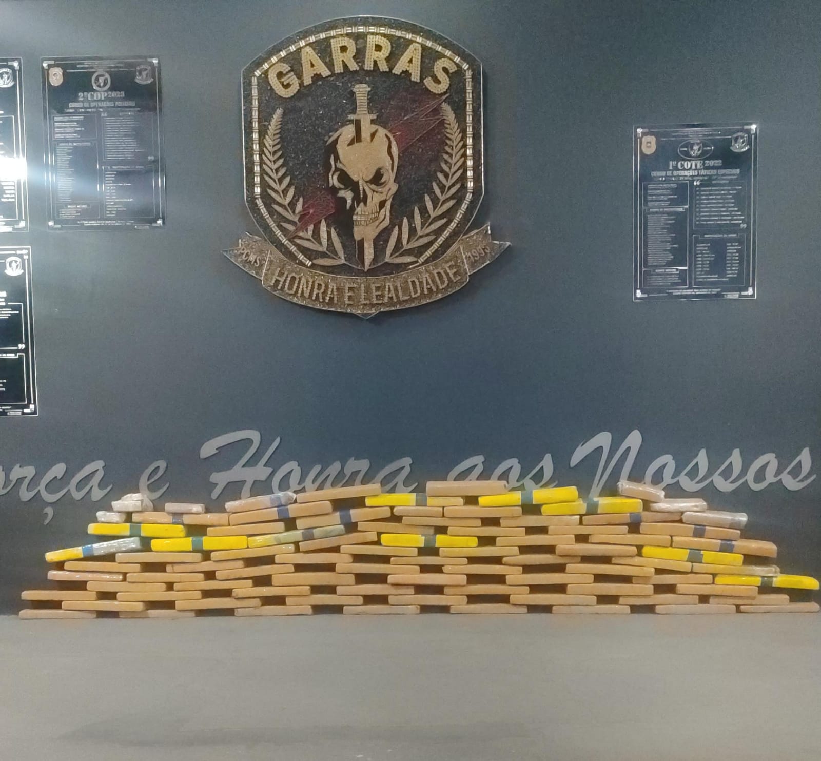 Polícia Civil apreende drogas e munições no Bairro Dom Antônio na Capital