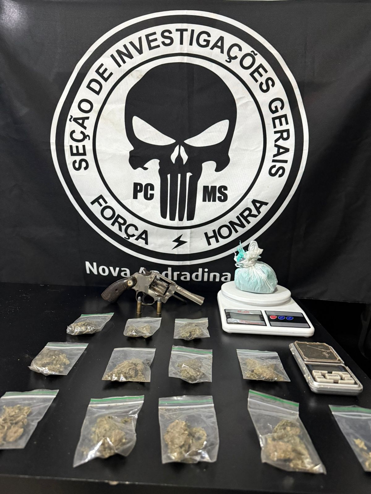 Polícia Civil esclarece disparo de arma de fogo em Nova Andradina