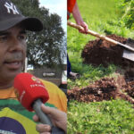 Projeto de lei aprovado torna obrigatório plantar árvores em loteamentos de Sidrolândia