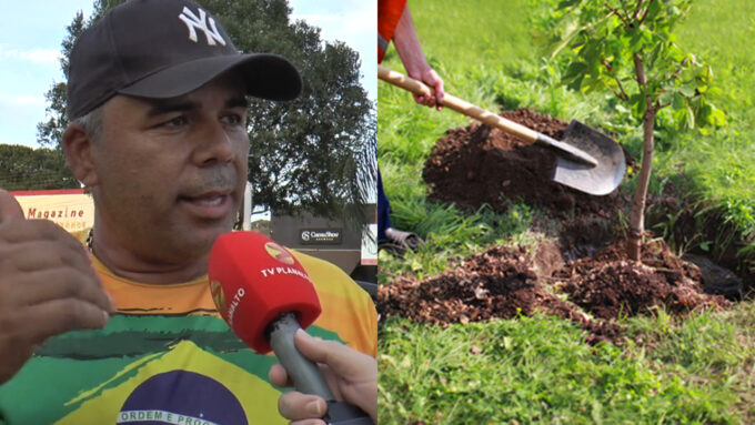 Projeto de lei aprovado torna obrigatório plantar árvores em loteamentos de Sidrolândia