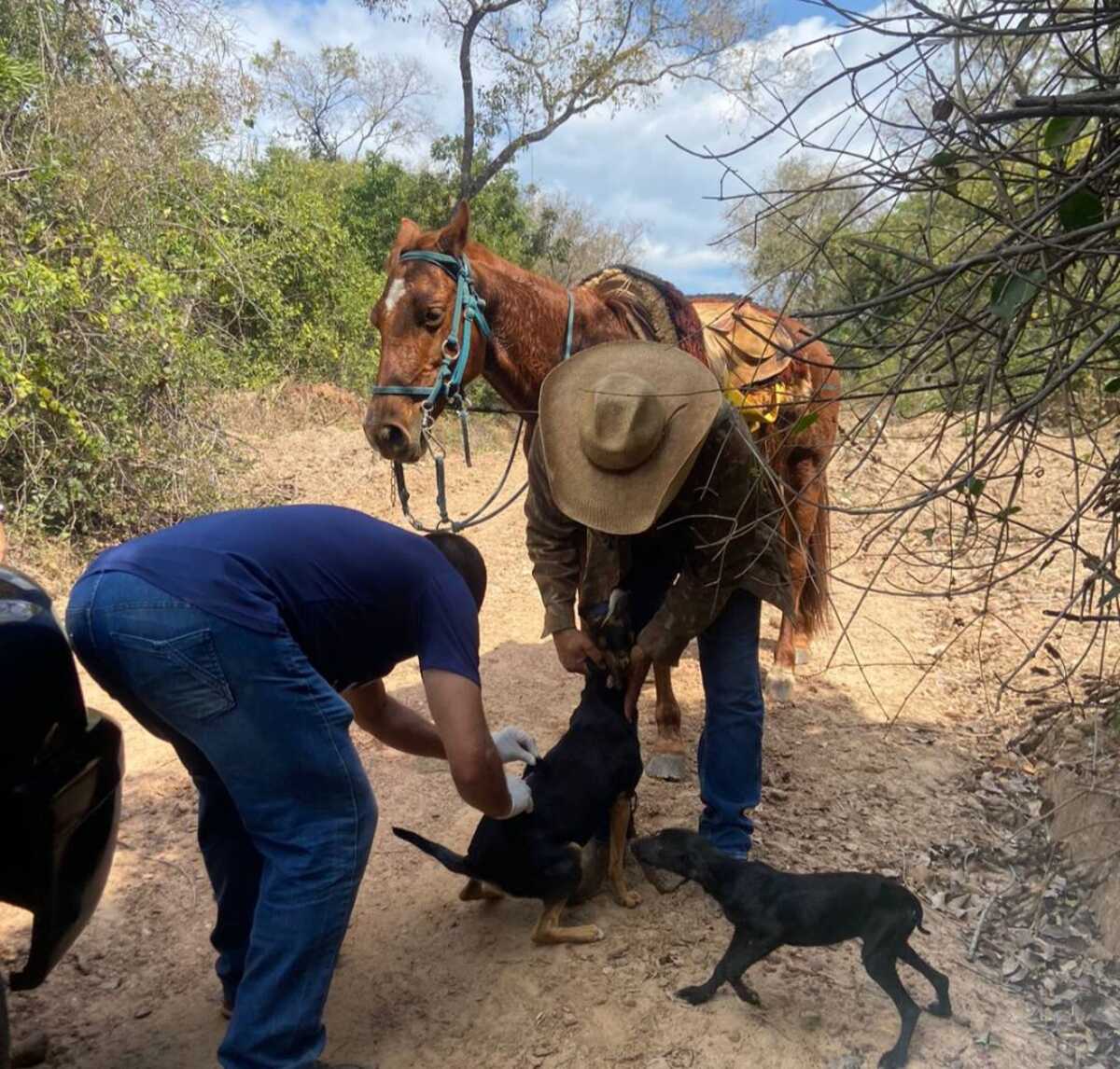 Vacinação antirrábica é levada à zona rural de Jardim