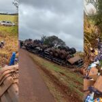 Carreta tomba na BR-163 e carga de leite é saqueada por população (vídeo)