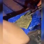 Traficante tenta atropelar policiais militares durante fuga na zona rural de Sidrolândia (vídeo)