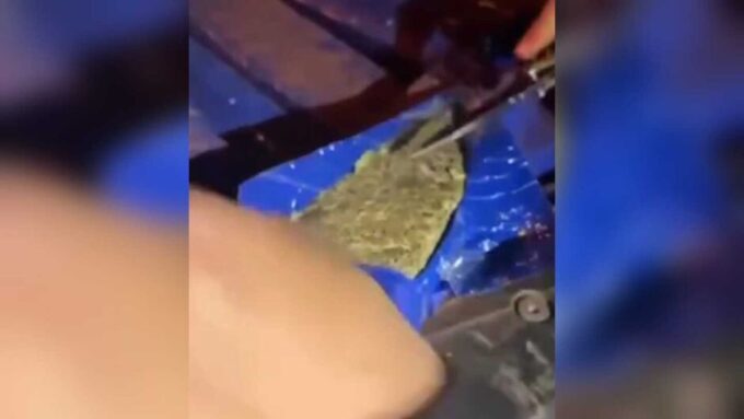 Traficante tenta atropelar policiais militares durante fuga na zona rural de Sidrolândia (vídeo)