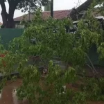 Inmet coloca em alerta 14 cidades para temporal com rajadas de vento