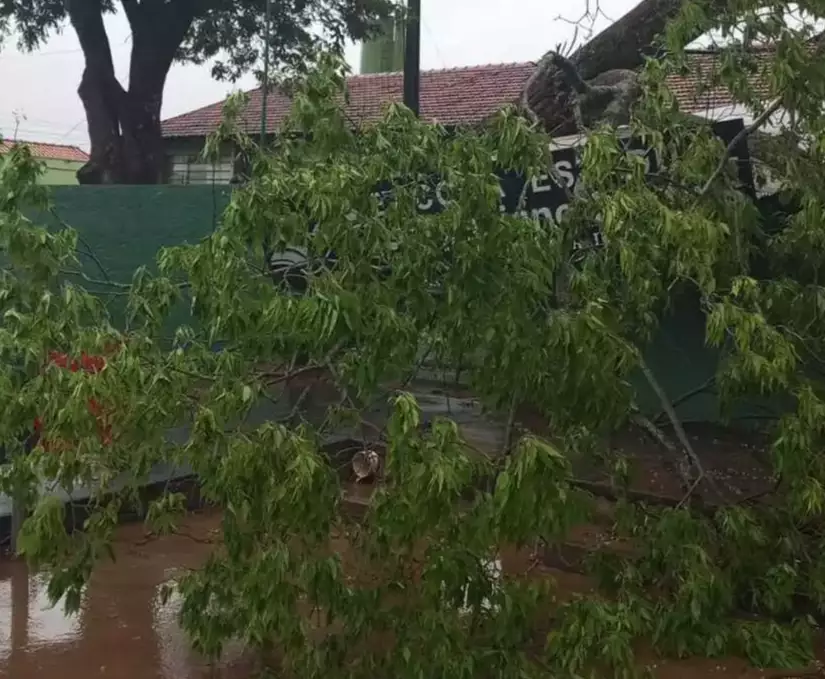 Inmet coloca em alerta 14 cidades para temporal com rajadas de vento
