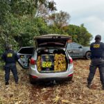 DOF apreende quase 900 quilos de drogas em carro roubado em Campo Grande