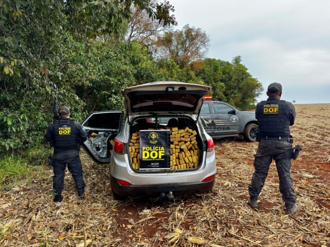 DOF apreende quase 900 quilos de drogas em carro roubado em Campo Grande