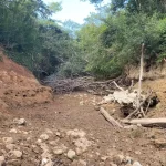 Trecho do Rio da Prata seca sob ponte do Curé e mobiliza resgate de peixes