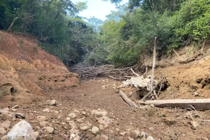 Trecho do Rio da Prata seca sob ponte do Curé e mobiliza resgate de peixes