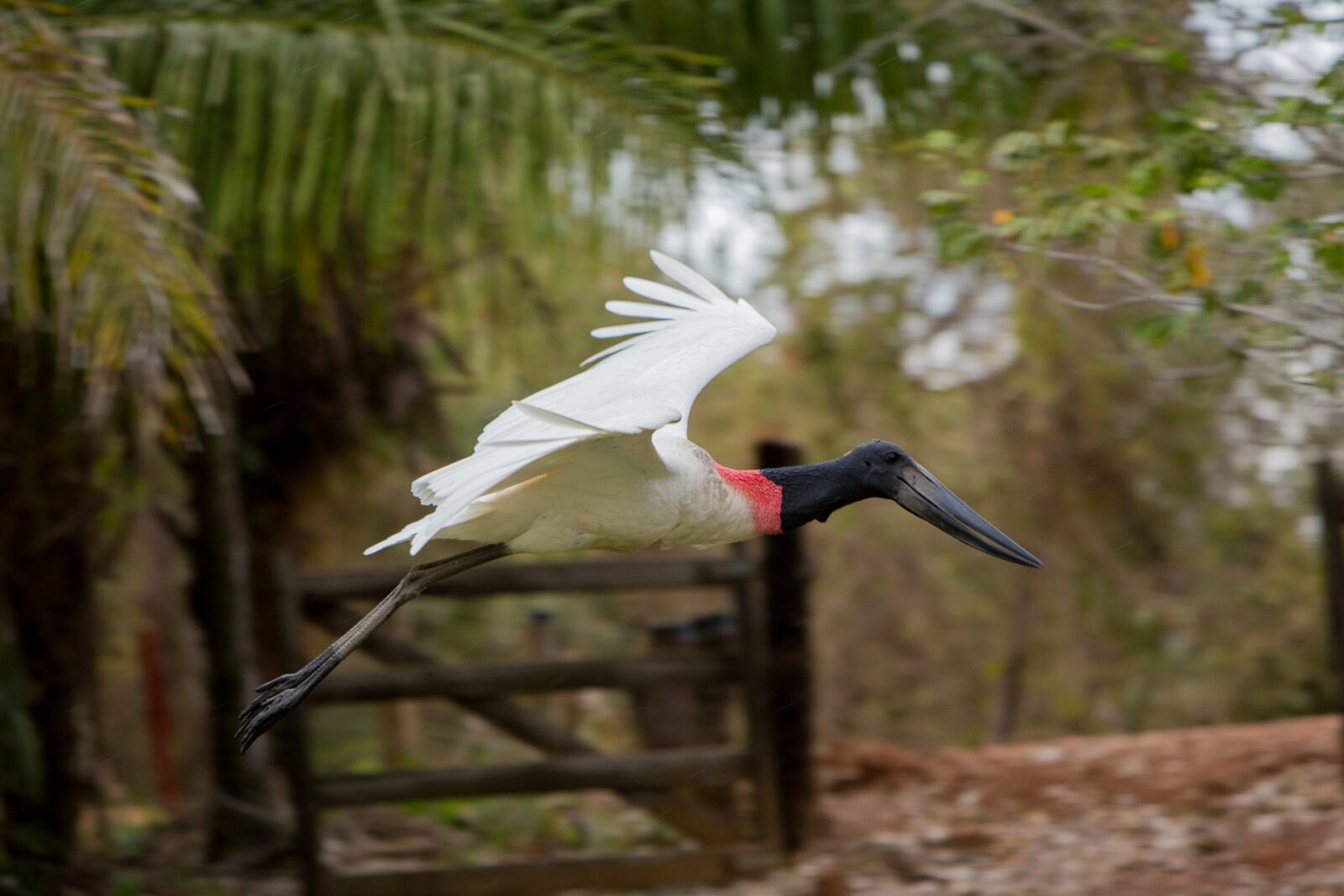 Mato Grosso do Sul reforça liderança no turismo responsável em fórum nacional