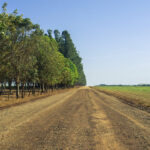 Infraestrutura rural avança com cascalhamento e patrolamento nas estradas vicinais de Sidrolândia