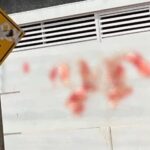 Briga de casal termina com marido esfaqueado pela esposa em São Gabriel do Oeste