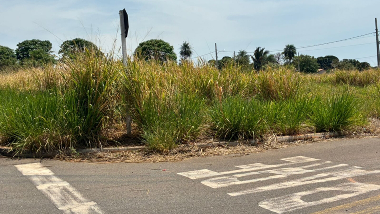 Prefeitura de Jardim notifica proprietários sobre limpeza de terrenos baldios