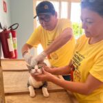 Saúde de Jardim contabiliza mais de 1.700 cães e gatos vacinados no DIa D da antirrábica