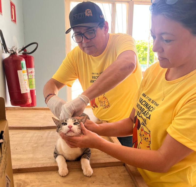Saúde de Jardim contabiliza mais de 1.700 cães e gatos vacinados no DIa D da antirrábica