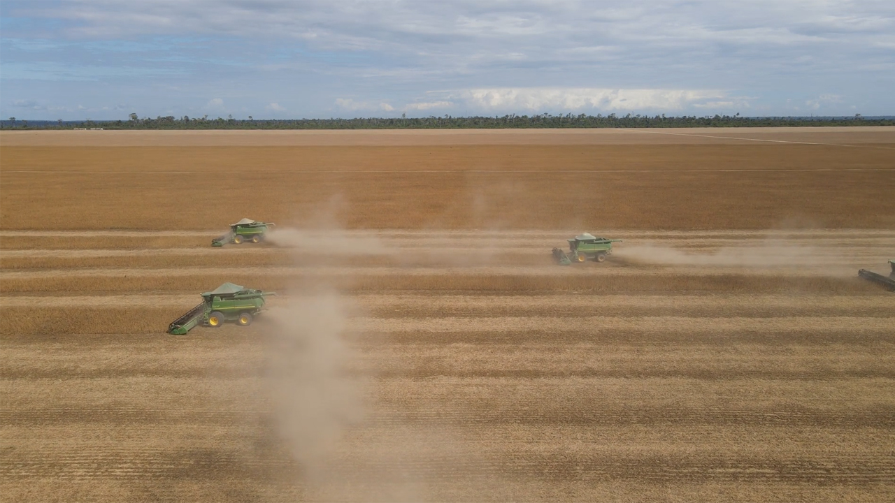 Sidrolândia conquista 8º lugar no ranking nacional de desenvolvimento agropecuário