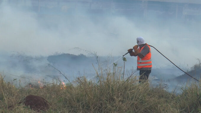 Defesa Civil alerta para situação de emergência por incêndios florestais e poluição do ar