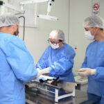 Castramóvel realiza atendimentos nesta semana na região do ESF 4, em Jardim