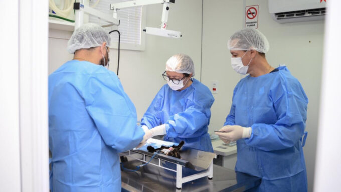 Castramóvel realiza atendimentos nesta semana na região do ESF 4, em Jardim