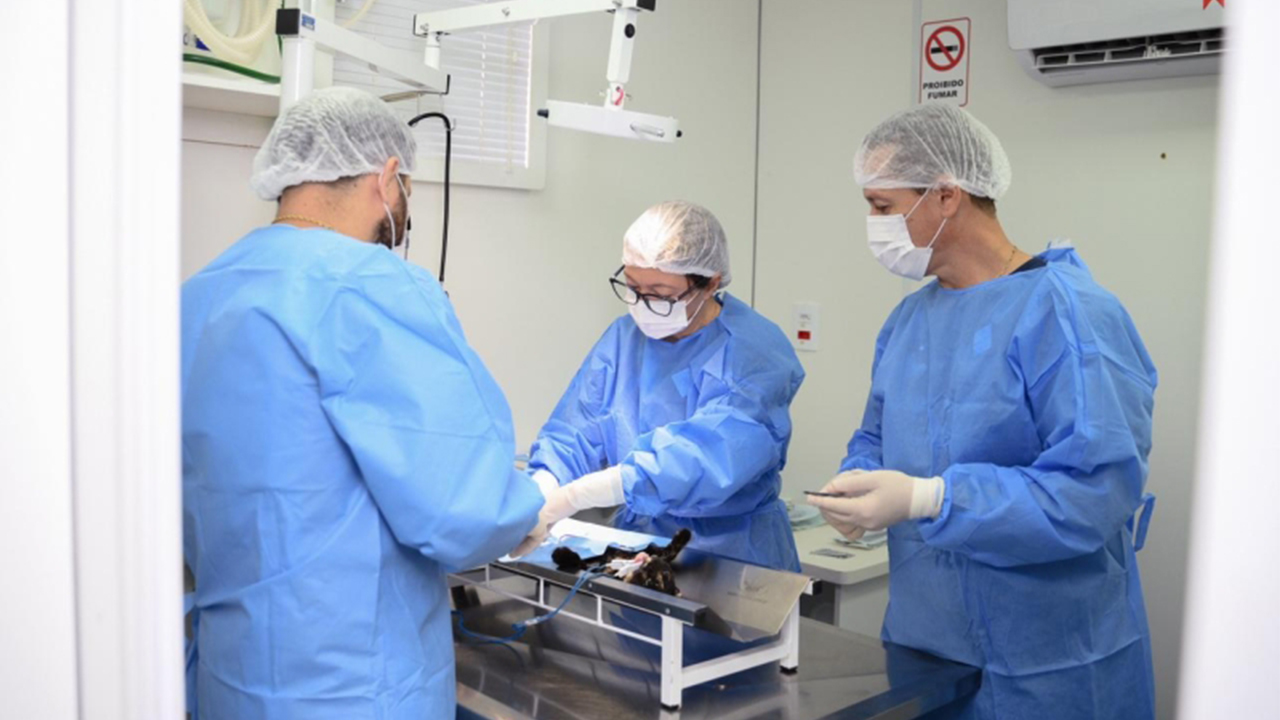 Castramóvel realiza atendimentos nesta semana na região do ESF 4, em Jardim