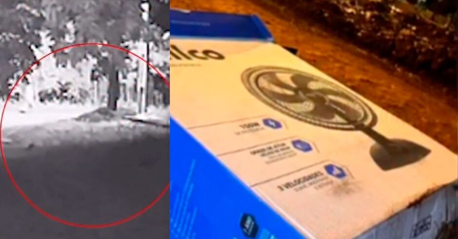 Sidrolândia: câmeras flagram mulher abandonando cachorro morto em terreno