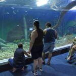 Bioparque Pantanal recebe selo internacional “ouro” por sustentabilidade e se destaca entre atrativos turísticos mundiais