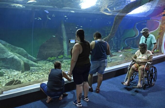 Bioparque Pantanal recebe selo internacional “ouro” por sustentabilidade e se destaca entre atrativos turísticos mundiais