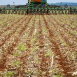 Soja: Plantio atinge 92% em Mato Grosso do Sul com previsão de safra de 15,2 milhões de toneladas