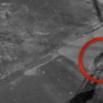 Vídeo: onça passeia tranquilamente por bairro de Sidrolândia e é flagrada por câmera de segurança