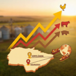 Frango Ganha Terreno: A “Proteína da Vez” em Dezembro