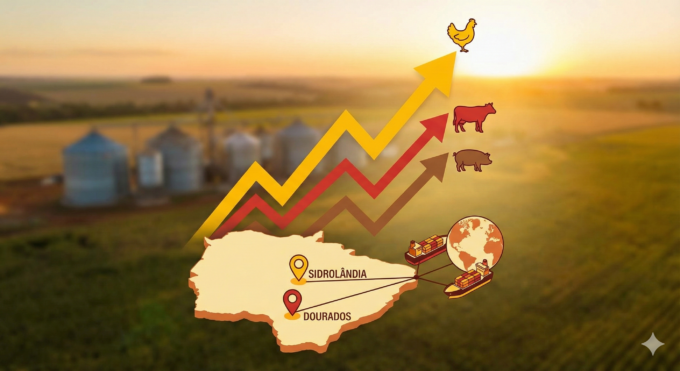 Frango Ganha Terreno: A “Proteína da Vez” em Dezembro