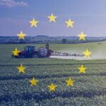 Mercosul-UE: Acordo abre janela de exportação, mas exige “blindagem jurídica” e sanitária do produtor de MS