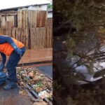 Ventania derruba árvore sobre carro e Defesa Civil emite alerta à população